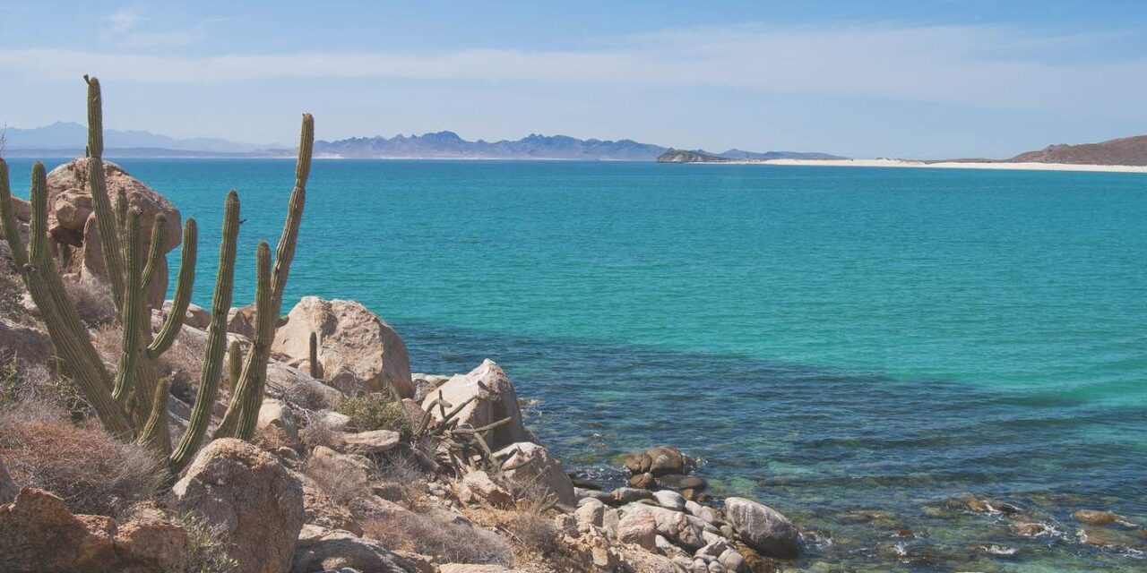 SIETE ACTIVIDADES IDEALES PARA SEMANA SANTA EN BAJA CALIFORNIA