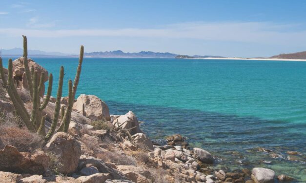 SIETE ACTIVIDADES IDEALES PARA SEMANA SANTA EN BAJA CALIFORNIA