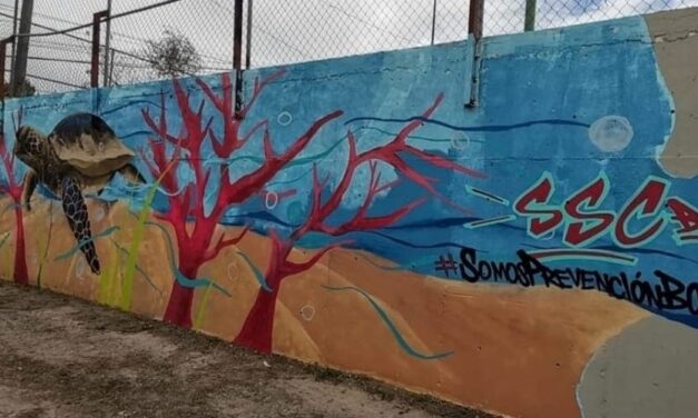 TRABAJAN EN LA RECUPERACION DE ESPACIOS EN LOS SIETE MUNICIPIOS DE BC