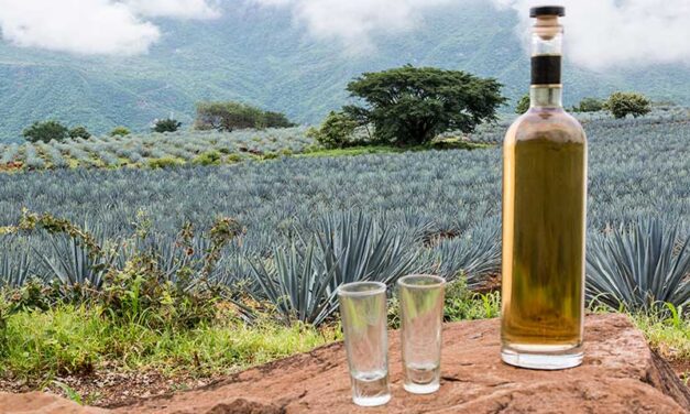 BUSCAN EXPANDIRSE MÁS ALLÁ DE EU LOS FABRICANTES DE TEQUILA