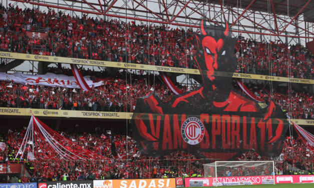 ES EL ESTADIO NEMESIO DIEZ DE TOLUCA EL MODELO A SEGUIR PARA LA SEGURIDAD