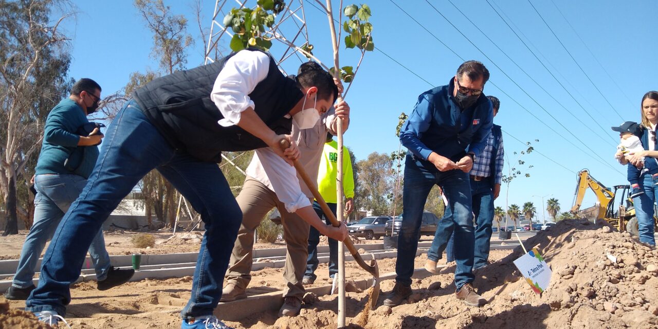 SIEMBRAN FUNDADORES PRIMEROS ÁRBOLES DE ‘TU PARQUE TSM’