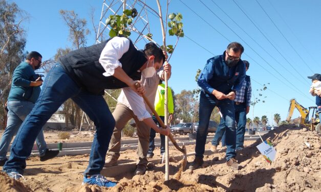 SIEMBRAN FUNDADORES PRIMEROS ÁRBOLES DE ‘TU PARQUE TSM’