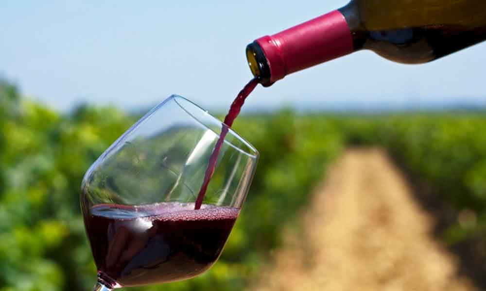 BUSCAN IMPULSAR A NIVEL NACIONAL E INTERNACIONAL VINOS PRODUCIDOS EN BC