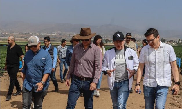 BUSCAN CREAR UN FRENTE COMÚN LÍDERES EMPRESARIALES JÓVENES DE BC