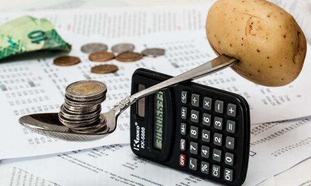 ¿CUÁNTO HAY QUE TRABAJAR PARA COMER? SALARIO MÍNIMO Y CANASTA BÁSICA