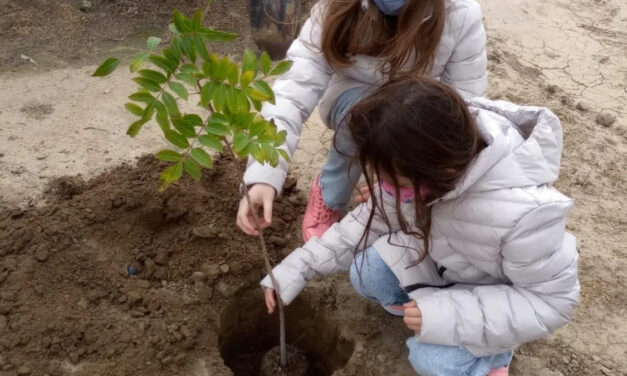 SE CONTINÚA LA CAMPAÑA DE REFORESTACIÓN EN EL VALLE DE GUADALUPE
