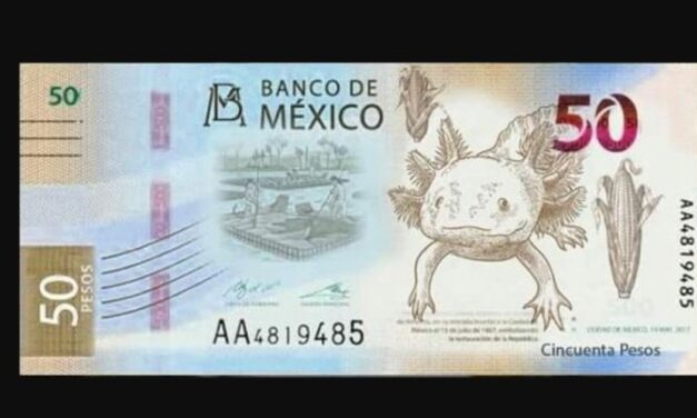 FIEBRE POR EL BILLETE DEL AJOLOTE RECORRE TODO EL MUNDO
