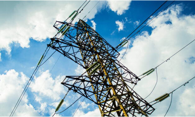 ALISTA IP AMPAROS CONTRA LA REFORMA ELÉCTRICA