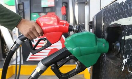 SUMAN GASOLINAS 11 SEMANAS CONSECUTIVAS EXENTAS DE IEPS