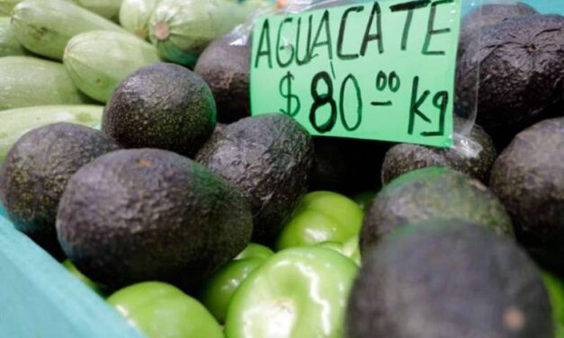 REBASARON 22 ESTADOS LA MEDIA NACIONAL DE LA INFLACIÓN
