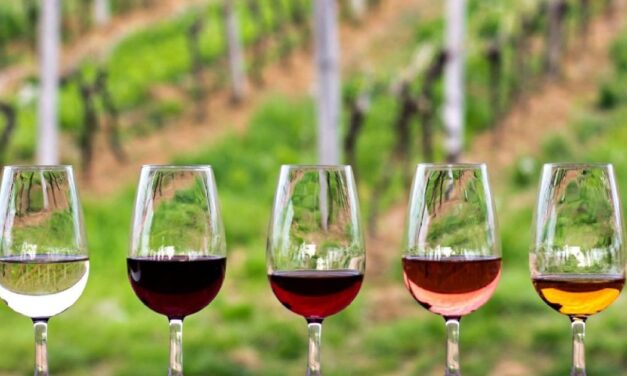 RECIBIRÁ BC A MÁS DE 800 EXPERTOS EN EL CONGRESO MUNDIAL DE LA VIÑA Y EL VINO