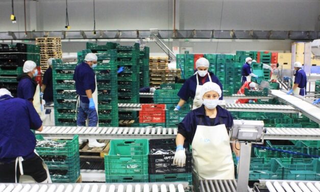 ES BAJA CALIFORNIA PUENTE DE COMERCIO INTERNACIONAL DE PESCADOS Y MARISCOS