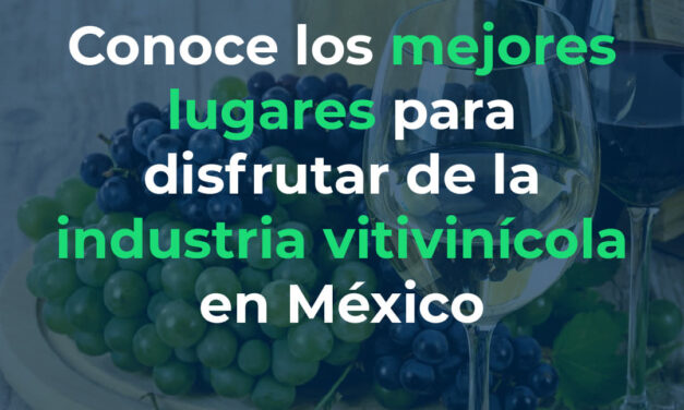 LOS MEJORES LUGARES PARA DISFRUTAR DE LA INDUSTRIA VITIVINÍCOLA EN MÉXICO
