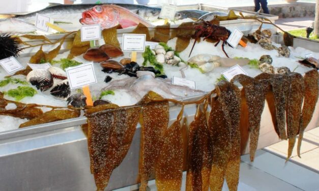 SE DISFRUTARÁN MÁS DE 45 RECETAS EN “COCINA LA BAJA” 