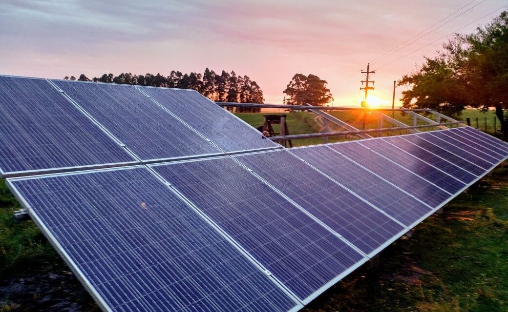 PODRÍA DISMINUIR HASTA UN 70% EL COSTO DE ENERGÍA CON PANELES SOLARES EN REFUGIO DE AMOR