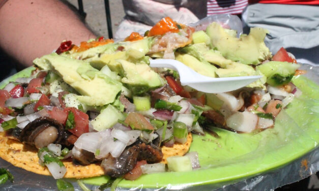 PREPARAN “COCINA LA BAJA SEAFOOD FESTIVAL” DE PESCADOS Y MARISCOS