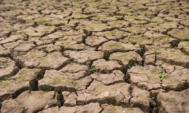 IMPACTARÁ EN LA INFLACIÓN LA SEQUÍA EN EL NORTE DEL PAÍS
