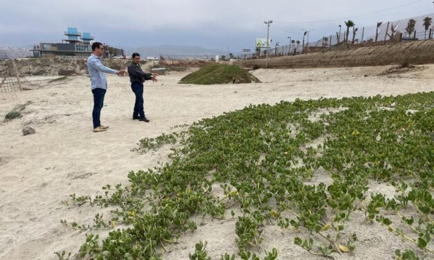 VERIFICAN ESTADO ACTUAL DE LA DUNA EN PLAYA HERMOSA