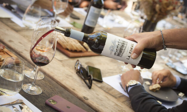 CON EDUCACION 5 TIPS PARA BEBER VINOS