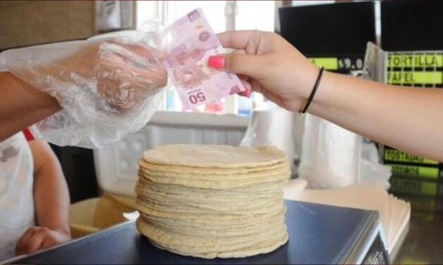 SEÑALA PROFECO A MASECA POR INFLUENCIA EN ALTOS COSTOS DE LA TORTILLA