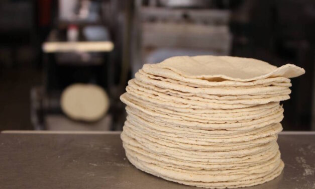 SUBIÓ PRECIO DE LA TORTILLA 12% EN SIETE MESES