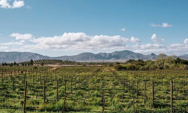 GARANTIZAN ABASTO DE AGUA PARA EL VALLE DE GUADALUPE