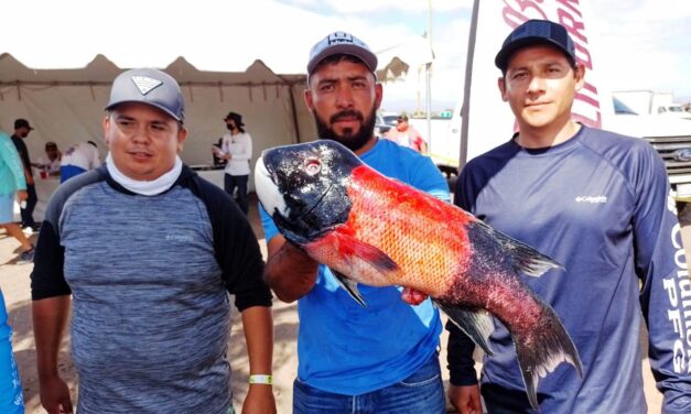 GANA CURVINA DE 36.8 LIBRAS EL TORNEO DE LA “COPA BAJA CALIFORNIA” EN SAN QUINTÍN: SEPESCA
