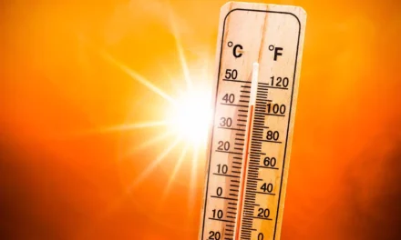 ADVIERTE CEPC OLA DE CALOR ESTA SEMANA EN BC