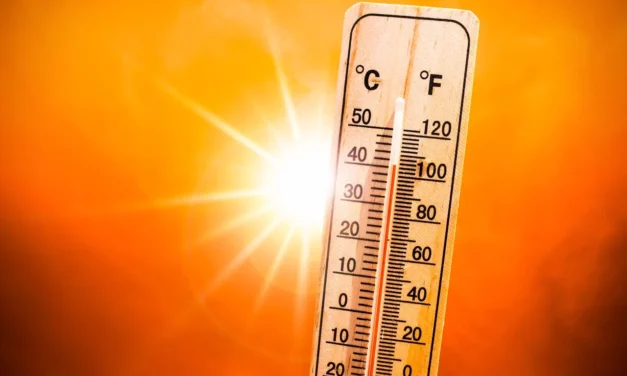 ADVIERTE CEPC OLA DE CALOR ESTA SEMANA EN BC