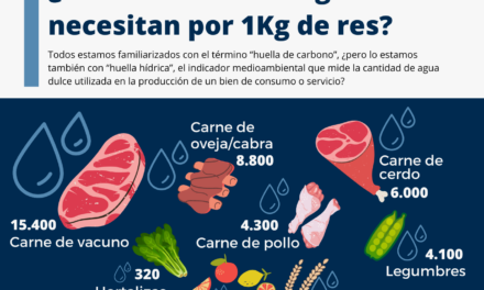 ¿CUÁNTOS LITROS DE AGUA SE NECESITAN POR 1KG DE RES?