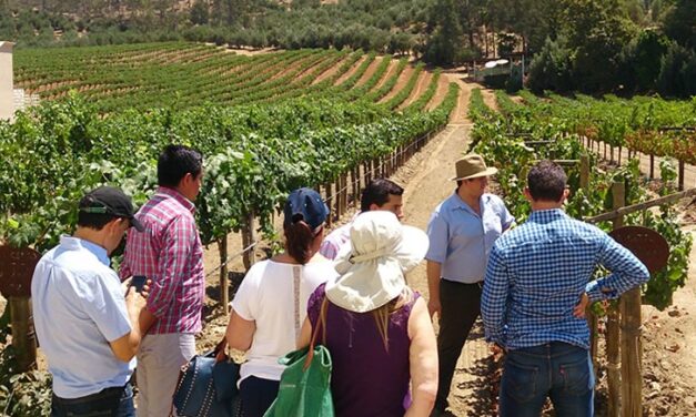 DESTINAN TURISTAS 30% PROMEDIO EN SECTOR GASTRONÓMICO Y ENOLÓGICO EN ENSENADA