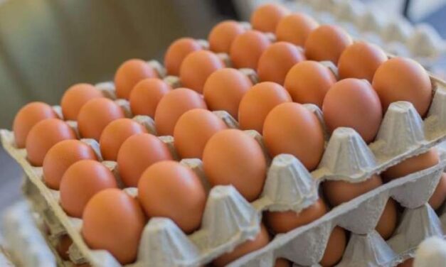 AZOTA INFLACIÓN A MEXICALI CON 9.72% ANUAL