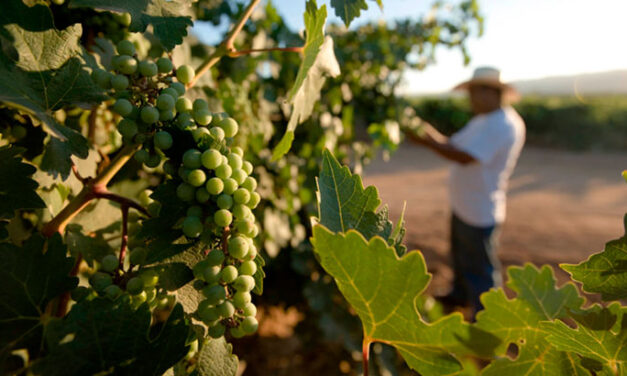ES EL REÚSO DEL AGUA EL MOTOR PARA EL VALLE DE GUADALUPE