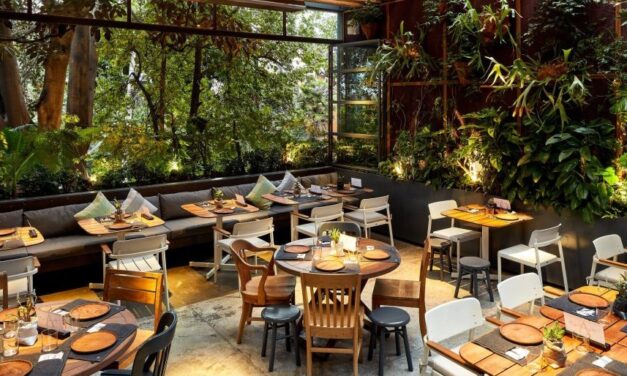 TRISTEZA EN NOCHE MEXICANA PARA RESTAURANTEROS, COMENTA CANIRAC
