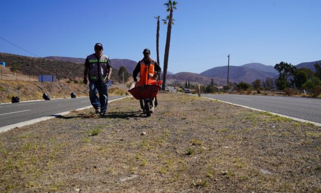 INVERTIRÁN 1.7 MDP EN ALUMBRADO DEL TRAMO FONDEPORT-SAN ANTONIO DE LAS MINAS