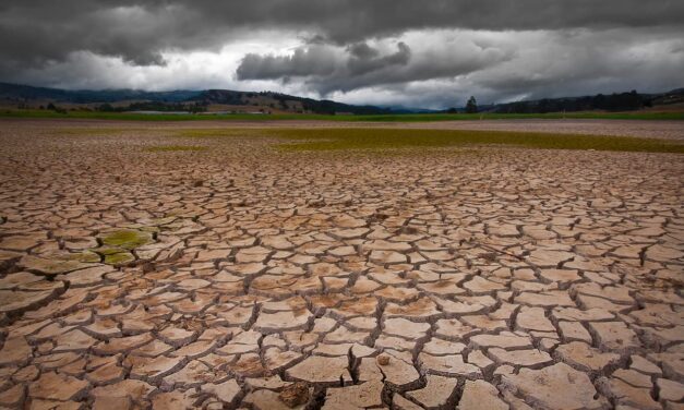 REQUIERE MÉXICO 126 MIL MDD PARA HACERLE FRENTE AL CAMBIO CLIMÁTICO