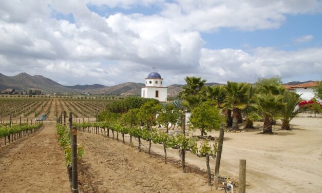 REFRENDÓ SMADS COMPROMISO CON LA PROTECCIÓN DEL VALLE DE GUADALUPE  