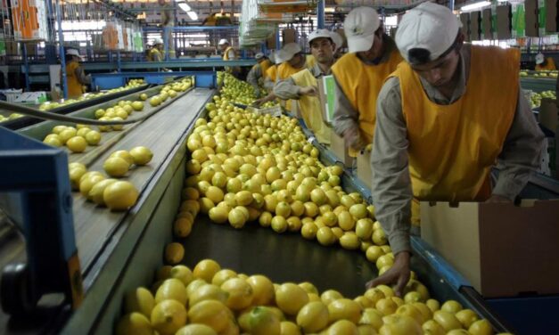 ADVIERTE CCE RIESGO EN LA SALUD POR IMPORTACIÓN SIN CONTROL SANITARIO