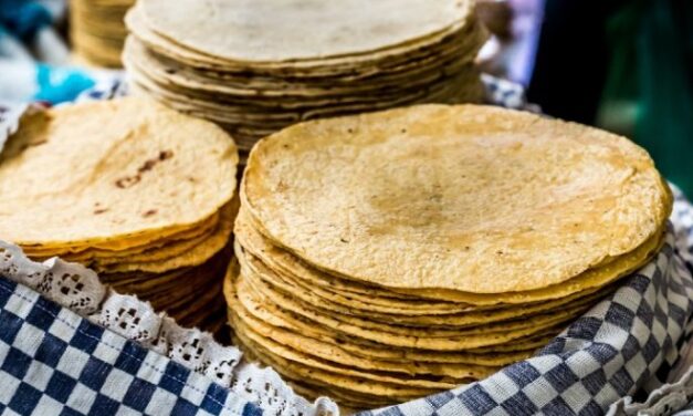 ADVIERTE LA RED DE MAÍZ QUE PRECIO DE LA TORTILLA NO BAJARÁ CON EL PACIC