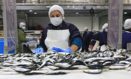 RECONOCE SEPESCA LA APORTACIÓN DE LA MUJER AL SECTOR ALIMENTARIO