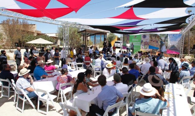 GENERAN BODAS Y EVENTOS MÁS DE 100 MDD ANUALES EN VALLE DE GUADALUPE