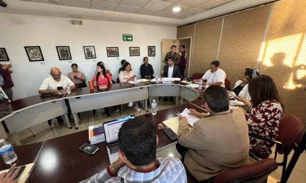 AVANZÓ EN COMISIÓN DE GOBERNACIÓN DICTÁMEN EN MATERIA DE GUARDIA NACIONAL