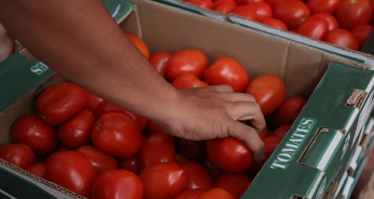 SUBIERON LOS PRECIOS DE LA CANASTA BÁSICA DEL GOBIERNO