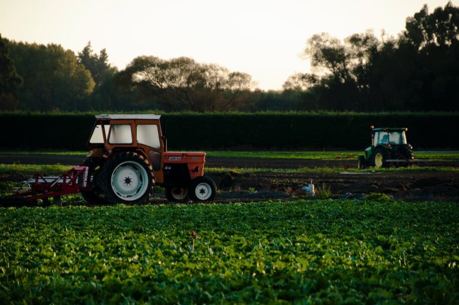 CAYÓ 5.6% EL PIB DE LA INDUSTRIA ALIMENTARIA EN BC
