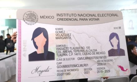 SE ENCUENTRA PREOCUPADOS POR ORGANIZACIONES DE LA SOCIEDAD CIVIL ‘DESMANTELAMIENTO’ DEL INE’