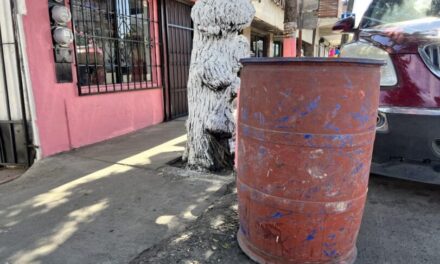 PREOCUPA A PEQUEÑOS COMERCIANTES PAGO PARA LA RECOLECCIÓN DE BASURA