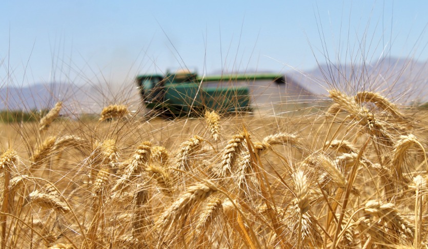 INVITAN AL PRIMER TIANGUIS AGROPECUARIO EN MEXICALI