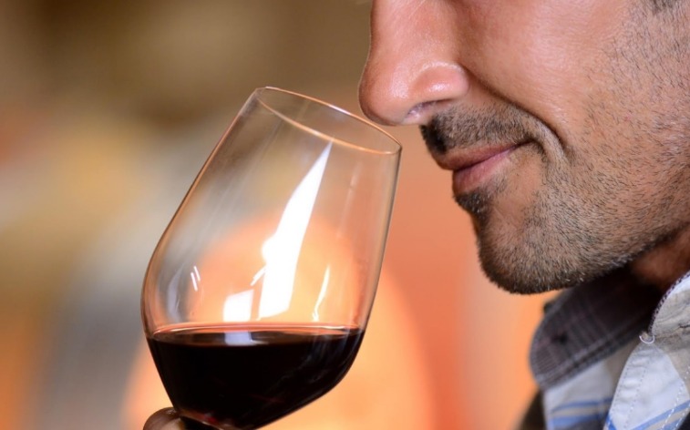 CONOCE CINCO VINOS MEXICANOS BBB POR MENOS DE 500 PESOS