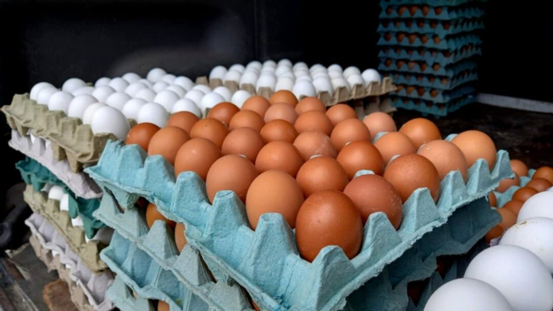 LLEGA HASTA 60 PESOS EL COSTO DEL HUEVO